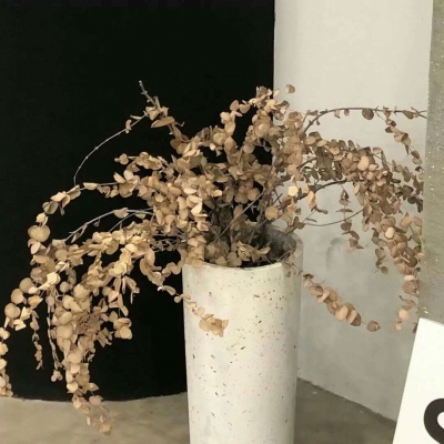 长安FurryQQ群介绍